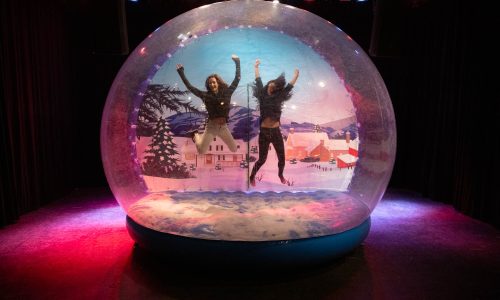 SnowGlobe-525